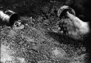 05.Frente_07_Butterfly